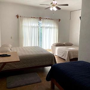 Suite con Cama King